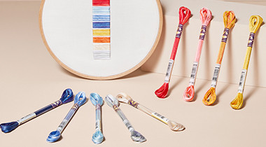 DMC color variations embroidery thread 8m