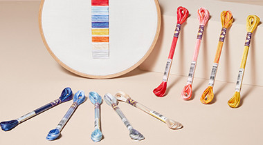 Fils à broder DMC Moulinés variation 8m